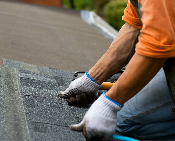 Best Roof Gutter Cleaning  in Lusby, MD
